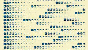 미술품 유통, 등록-허가-신고 의무화