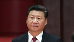 시진핑, 후계 지명 연기說