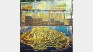 별 SNS “갑자기 설탕엿 너무 먹고 싶어…” 하하♥별 둘째 임신 암시?