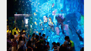 롯데월드 아쿠아리움, 연간 방문객 120만명