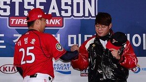 이것이 궁금했다! Q&A로 풀어본 와일드카드 궁금증