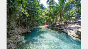 모두투어 여행박람회 선택II 필리핀