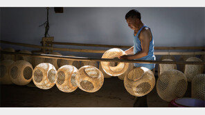 [화시두스보]金보다 비싼 竹?