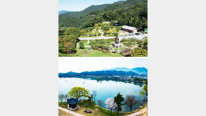 박달재 고갯길서 찰칵… 의림지 솔밭 산책 좋아요