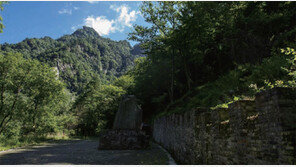 [화시두스보]인핑다오 