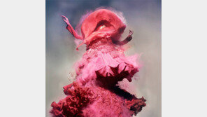 “흥행만 노린 해외 작가전, 이미지 마케팅 그칠 우려”