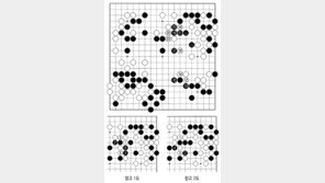 [바둑]역대 국수전 우승 결정국… 히든카드