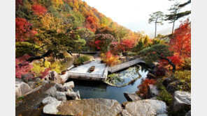 40분만 달리면 가을 단풍속으로…