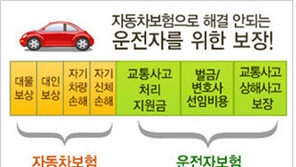 [비즈갤러리] “운전자보험 비교사이트 활용하세요”