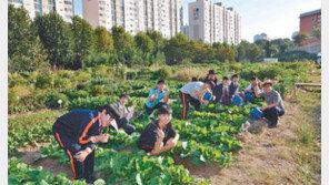 “학교 텃밭에서 가꾼 배추로 김장 담가 이웃 도와요”