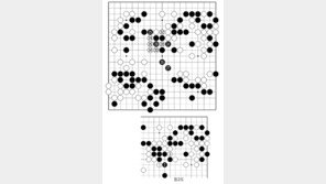 [바둑]역대 국수전 우승 결정국… 무산된 노림
