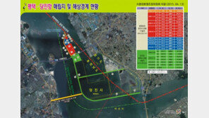 평택당진항 매립지 관할권 분쟁 첫 공개변론