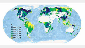 나무 종 수 10% 줄면 숲 생산성 2∼3% 감소