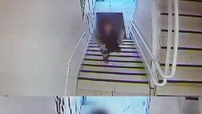‘강남역 살인사건’ 범인에 징역 30년 선고, 당시 CCTV 다시 보니…
