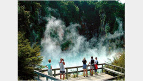 [여행, 나를 찾아서]푸른 바다, 맑은 자연… 원시를 품은 뉴질랜드로 떠나자 