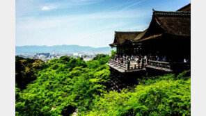 [여행, 나를 찾아서]이 가을, 시인 이승신과 일본으로 떠나는 감성문학기행