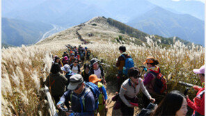 억새 장관에 등산객 행렬