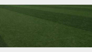 法 “효성, ‘인조잔디 입찰담합’ 주도 증거 없어…입찰제한 취소”