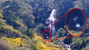 전설의 괴물 ‘빅풋’ 포착?…괴생명체 영상 온라인서 화제