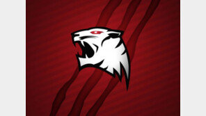 락스 타이거즈 공식 해명 "ESPN의 팀 해체 기사는 거짓"