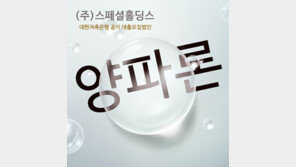 [비즈갤러리] 개인회생대출 정식업체 확인해야