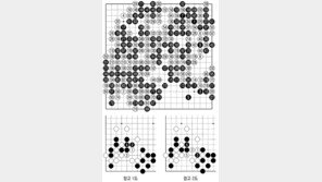 [바둑]역대 국수전 우승 결정국… 완벽한 마무리