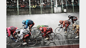 특선급 8인제 경륜, 인맥에 베팅하라