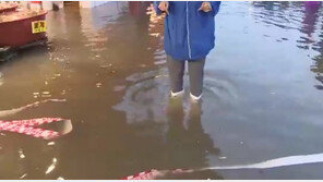 올해 최대 해수면 상승, 전국 해안가 곳곳 바닷물에 잠겨…