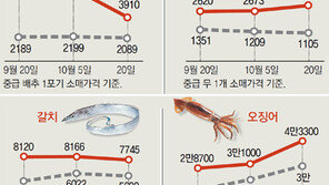 金배추-金갈치… 밥상 차리기 겁난다