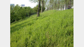 [스마트 컨슈머]“남이 가지 않은 길에서 가치를 캡니다”