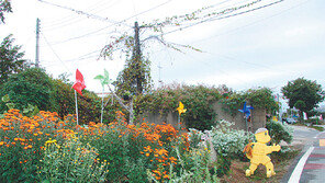 “동네 쓰레기장이 꽃밭으로 변했어요”