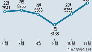11월 새 아파트 입주물량 올들어 최대