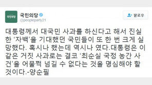 양순필 “이같은 거짓 사과로는 ‘최순실 국정 농간 사건’ 어물쩍 넘길 수 없다”