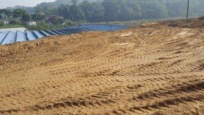 [화제의 분양현장]안성토지 분양