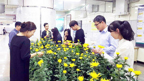 대구도시철도 환승역서 국화 감상