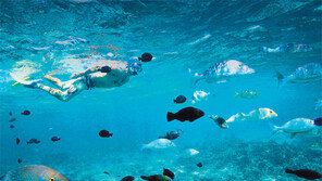 건담 엑스포… 백두산 라이딩… ‘덕후’가 즐겁다