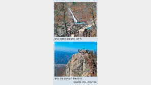 등산길 4분의1 철계단-나무덱 등 깔려