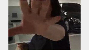 최순실 특검 도입 급물살, 예상되는 적용 가능 혐의 나열해보니…