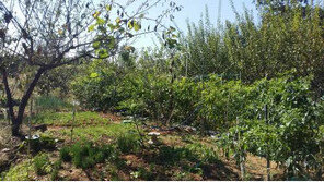 [화제의 분양현장]과천 갈현동 토지 분양