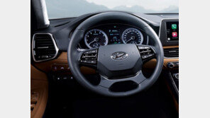 [화보]신형 그랜저 IG 실차를 본 기자들 반응 “외관 디자인 호평 실내는 글쎄”