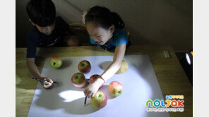 놀작마이아트, 초등 창의드로잉 입체편 출시