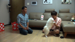 [오늘의 채널A] 동호가 애견 훈련사를 부른 까닭?