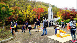 성주산 단풍축제 29일 열려