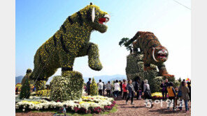 창원시 ‘마산가고파 국화축제’ 29일 개막