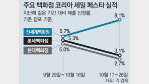 파격세일 빠진 ‘K세일 페스타’… 뒷심 부족