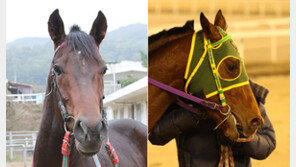 ‘고져스드림’ vs ‘광복칠십’ 3세마 라이벌전