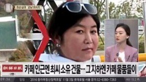 안민석 “최순실 조카 장유진이 가장 실세…검찰, 수사의지 있다면 긴급체포 해야”