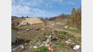 강원 평창군, ‘최순실 딸’ 정유라 초지법 위반 혐의로 경찰에 고발