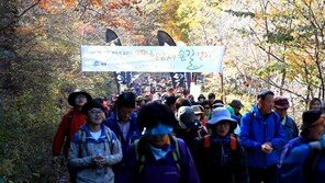 지리산 회남재 숲길 걷기, 가족체험학습 장소로 눈길