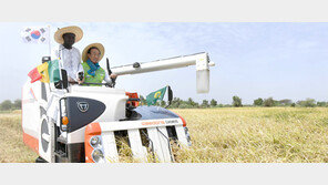 세네갈서 국산 농기계로 벼 수확